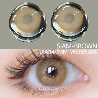 ส่งไวจากไทย🧿 SparkleGirl คอนแทคเลนส์ SIAM GRAY/BROWN/BLUE คอนแทกเลนส์ คอนแทคเลนส์สี 14.2mm