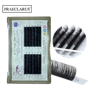 PRAECLARUS Rex Rabbit Fibroin Fiber Individual Classic Round Eyelash Matte Black Thickness 0.05mm Premium Mink Volume Eyelashes