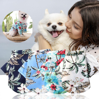 ภาพหน้าปกสินค้าเสื้อยืด พิมพ์ลายดอกไม้ ระบายอากาศ เหมาะกับเดินชายหาด แฟชั่นฤดูร้อน สไตล์ฮาวาย สําหรับสัตว์เลี้ยง สุนัข ไซซ์ XS - 2XL #A031 ที่เกี่ยวข้อง