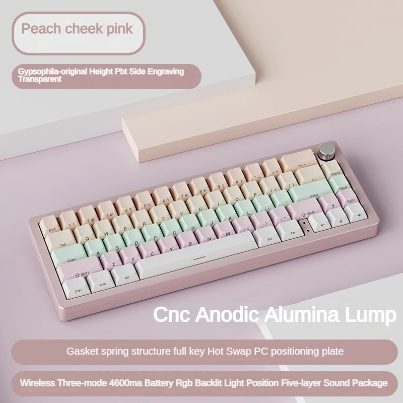 Lychee Gaming A66 ปะเก็นอลูมิเนียม CNC แบบมีสาย RGB ไร้สาย 2.4g และ ...