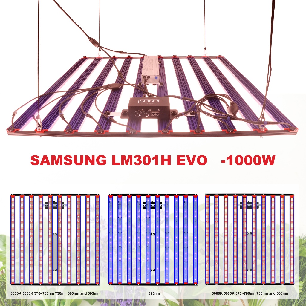 1000w SamsungLM301H EVO ไฟ led เติบโต 2 dimming channels led grow light ...