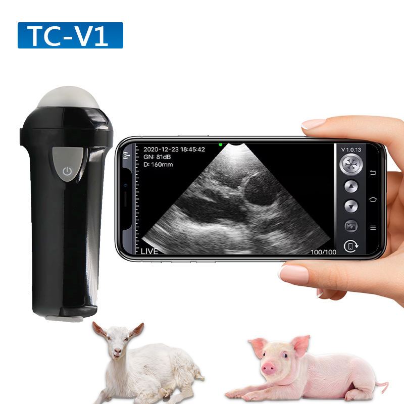 ไร้สาย Linear Veterinary แบบพกพา Ultrasound Cows เครื่องสแกนเนอร์การ ...