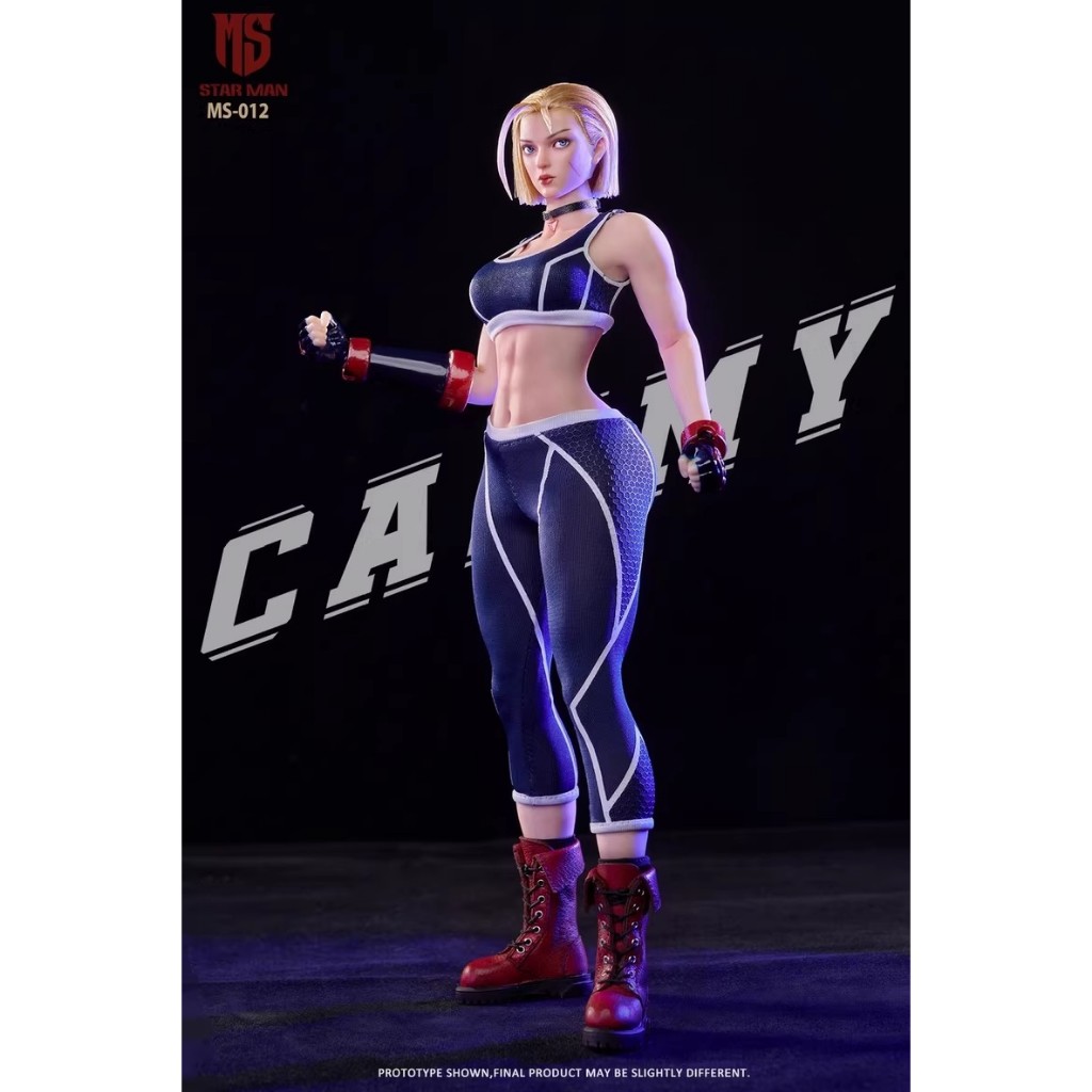 STARMAN 1/6 ตัวแทนหญิง Blue Bee MS-012 Street Fighter Fighting