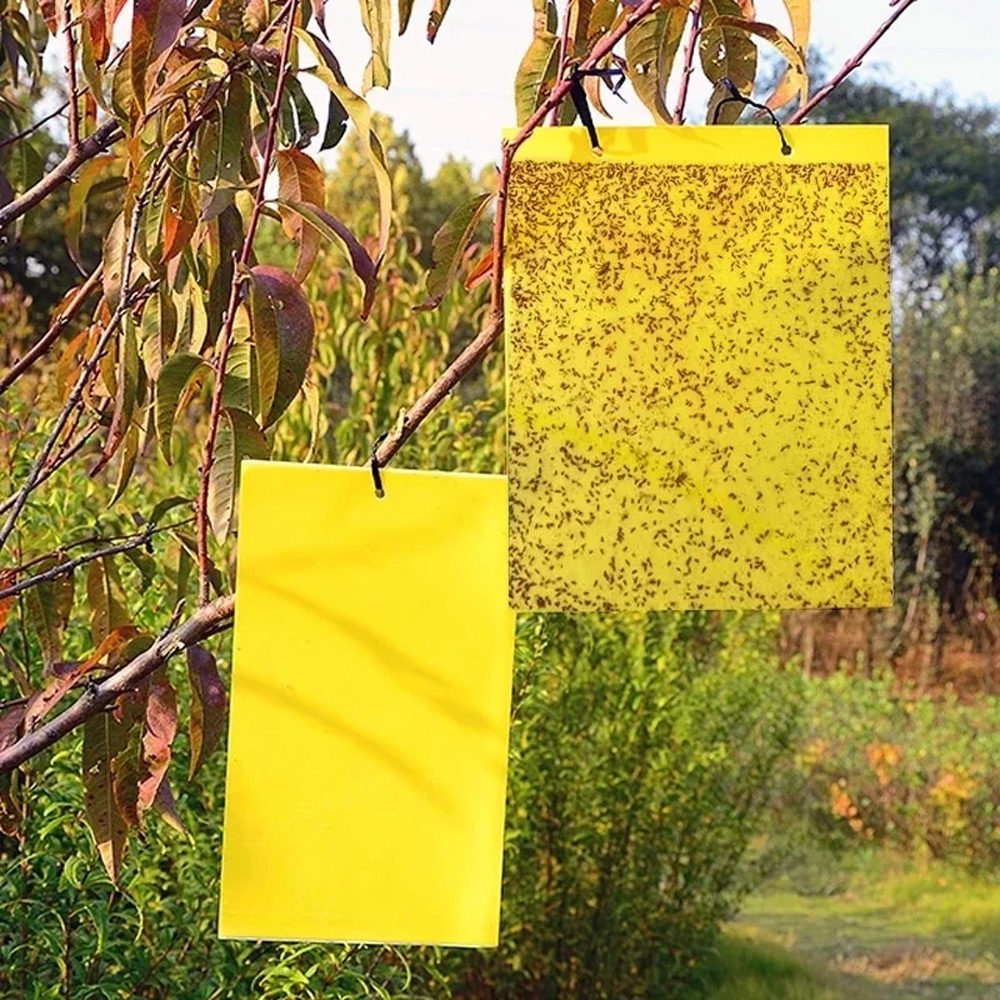 เรือนกระจก Bugs กับดัก Bugs Sticky Board หลายแมลงจับสติกเกอร์ควบคุมสอง ...