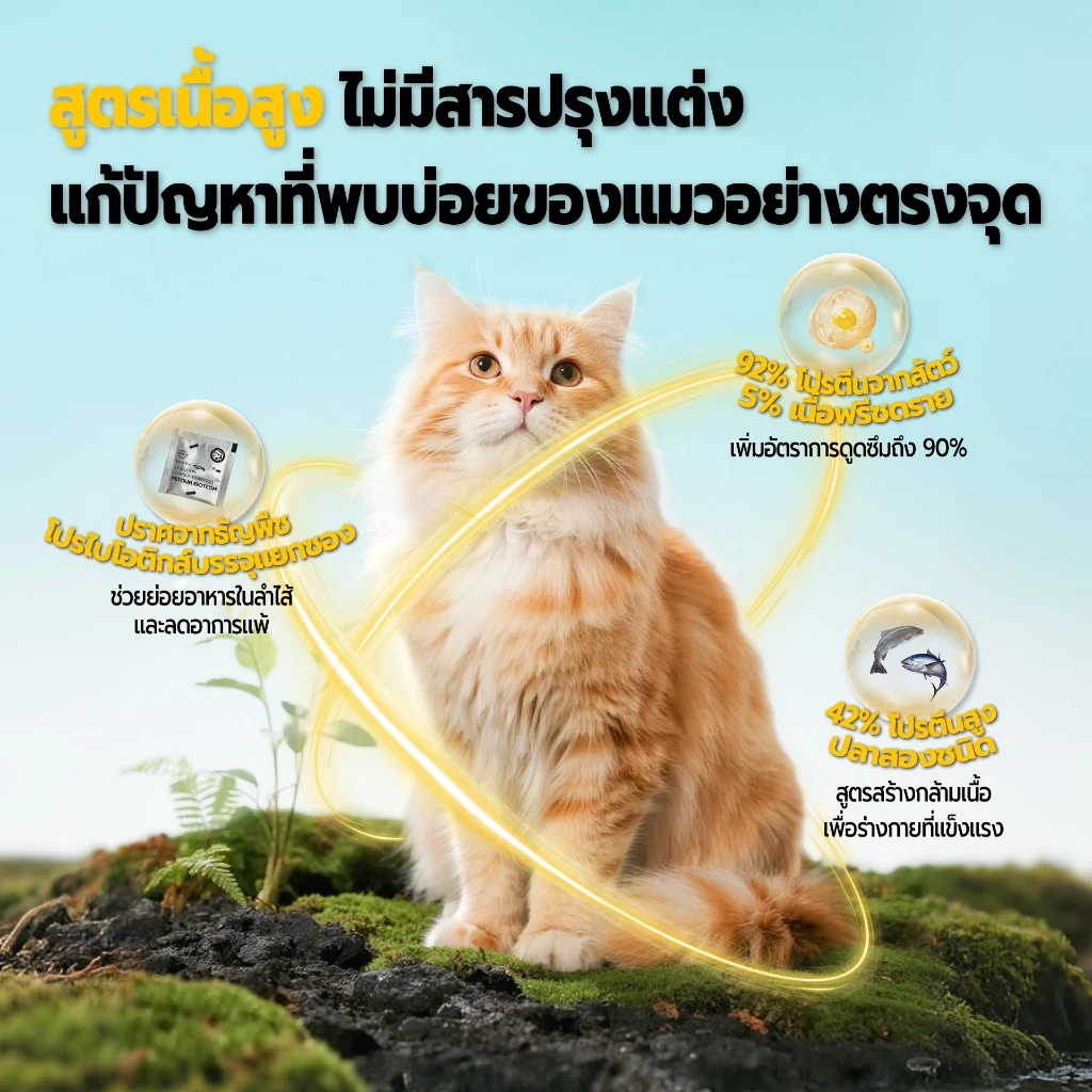 Bite of Wild P42 อาหารแมว Grain Free รูปที่ 4