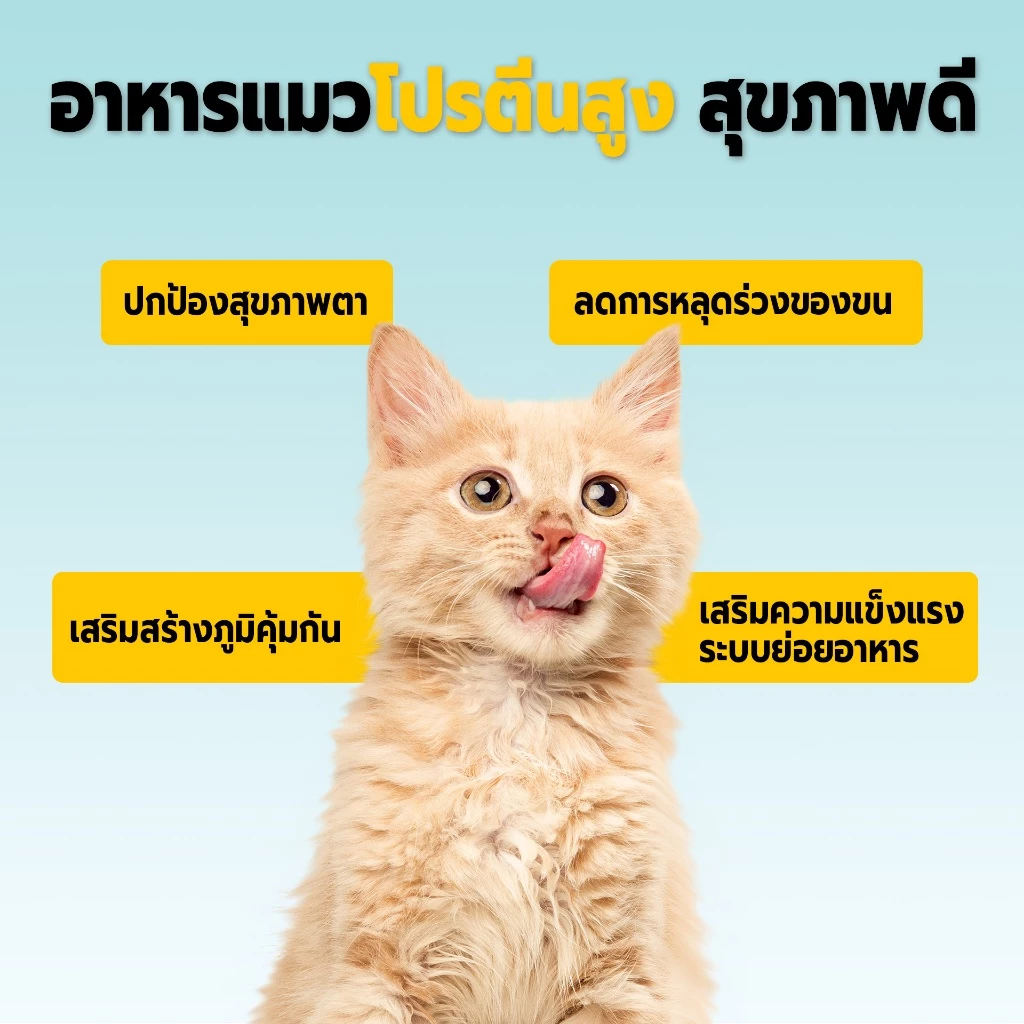 Bite of Wild P42 อาหารแมว Grain Free รูปที่ 5
