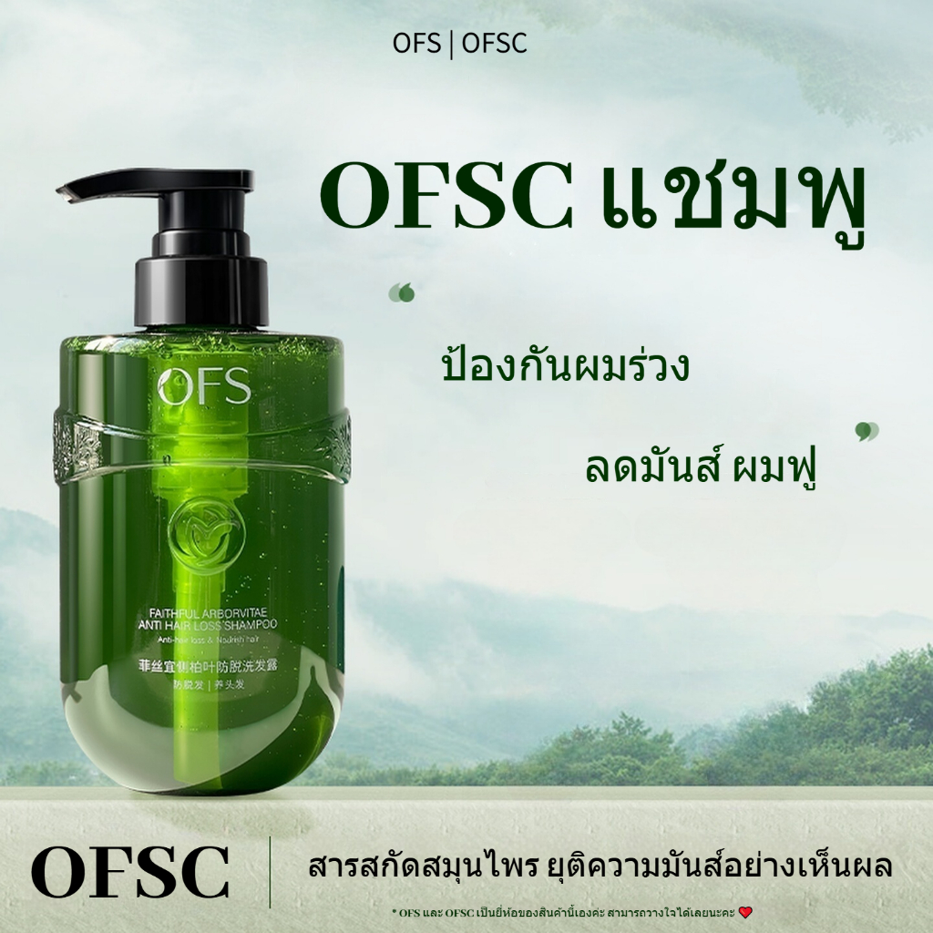 OFSC แชมพู OFS ควบคุมความมันและรังแค กระตุ้นการเจริญเติบโตของเส้นผม ...