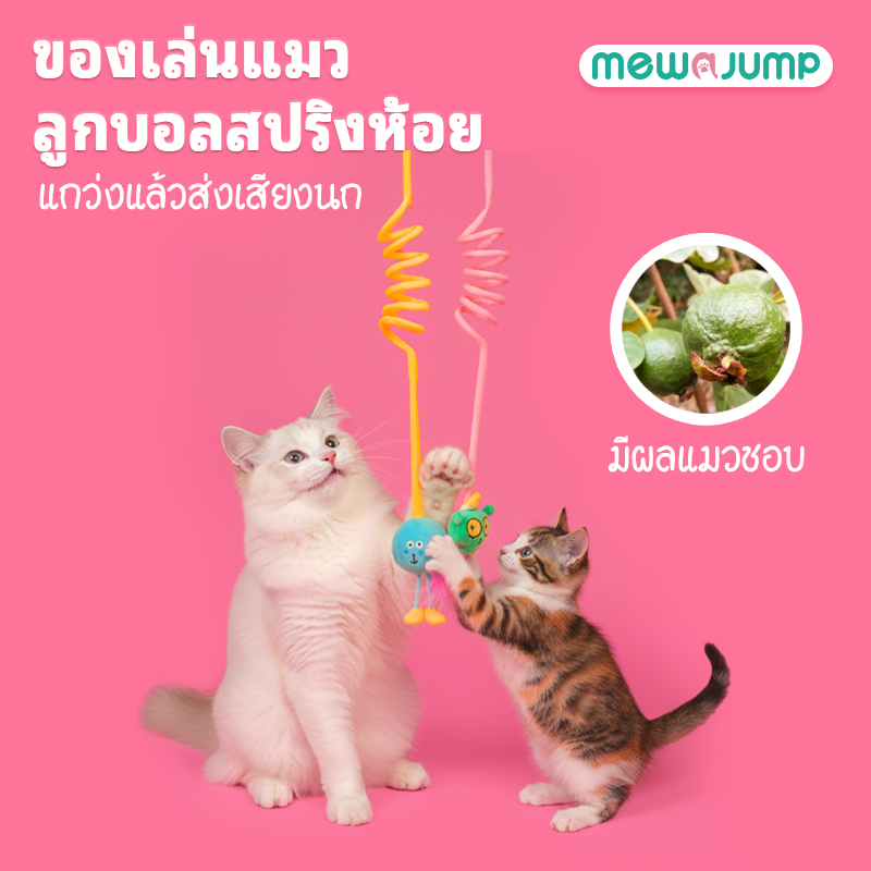 MewaJump ของเล่นแมวแขวนยางยืด เสียงนก แคทนิป ขนนก
