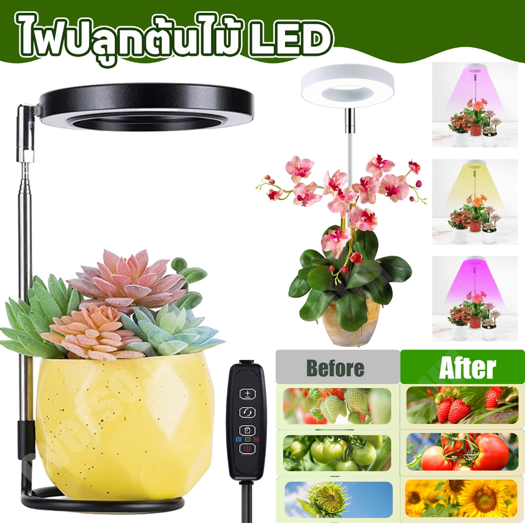โคมไฟ LED สำหรับปลูกต้นไม้
