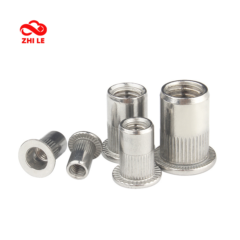 M3 M4 M5 M6 M8 M10 M12 304 สแตนเลส Rivnut แบนหัวเกลียว Riveter Nut แถบ ...