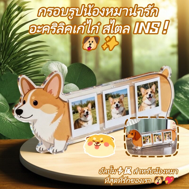 Wxdx.ไทย กรอบรูป อะคริลิค 3 นิ้วกรอบรูปน่ารักแสดงภาพสุนัขรูปคอลเลกชันตก ...