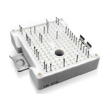 โมดูล IGBT 150A 650V I Easy2B สามระดับ | Shopee Thailand