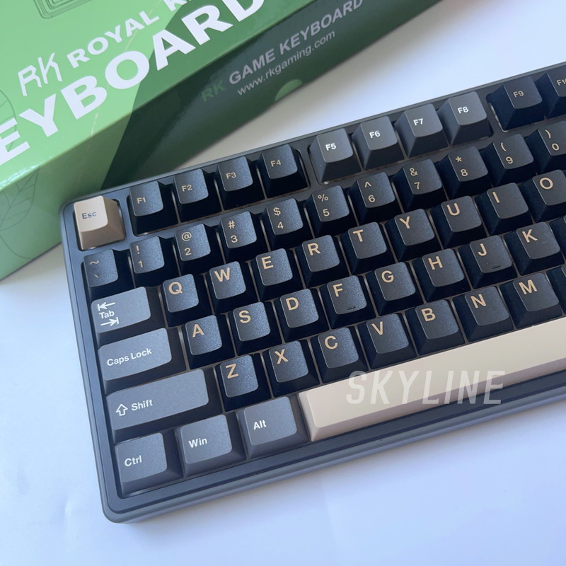 ปะเก็น RK R75 RK75 ไฟ RGB แบบมีสาย 75% สําหรับคีย์บอร์ด | Shopee Thailand