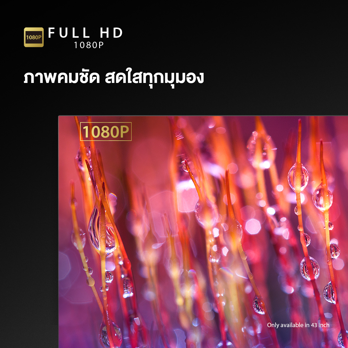 TOSHIBA TV รุ่น 43E31MP ทีวี ขนาด 43 นิ้ว Full HD WIFI Smart TV รุ่น Dolby Audio