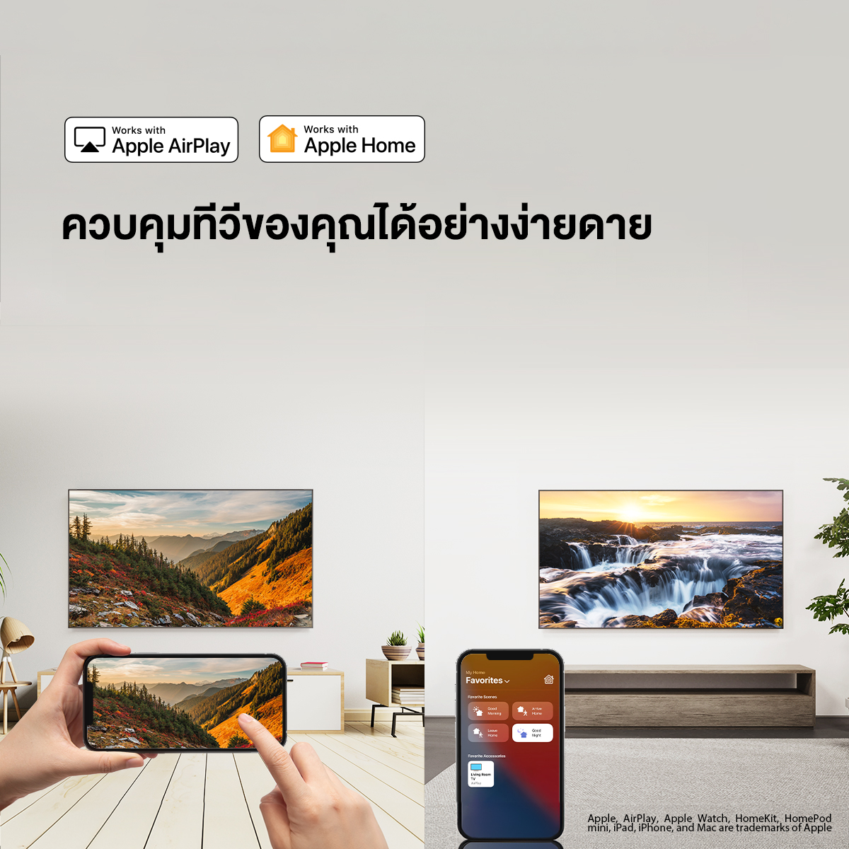 Toshiba TV รุ่น 55M550MP ทีวี ขนาด 55 นิ้ว 4K Ultra HD Quantum Dot Google TV HDR10+ Smart TV