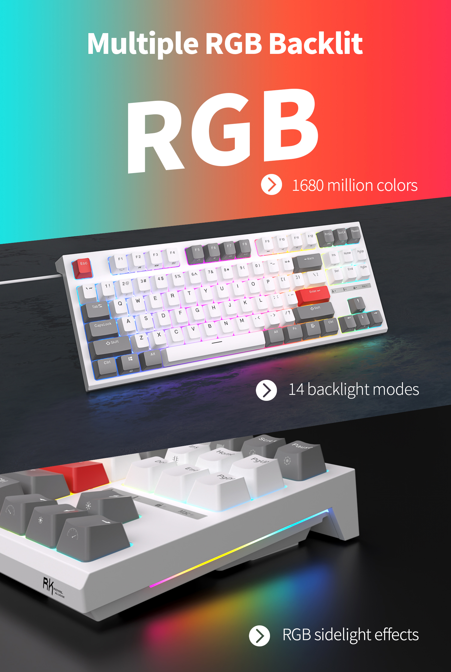Rk ROYAL KLUDGE R87 คีย์บอร์ดเมคคานิคอล แบบใช้สาย RGB 80% USB เป็น C ...