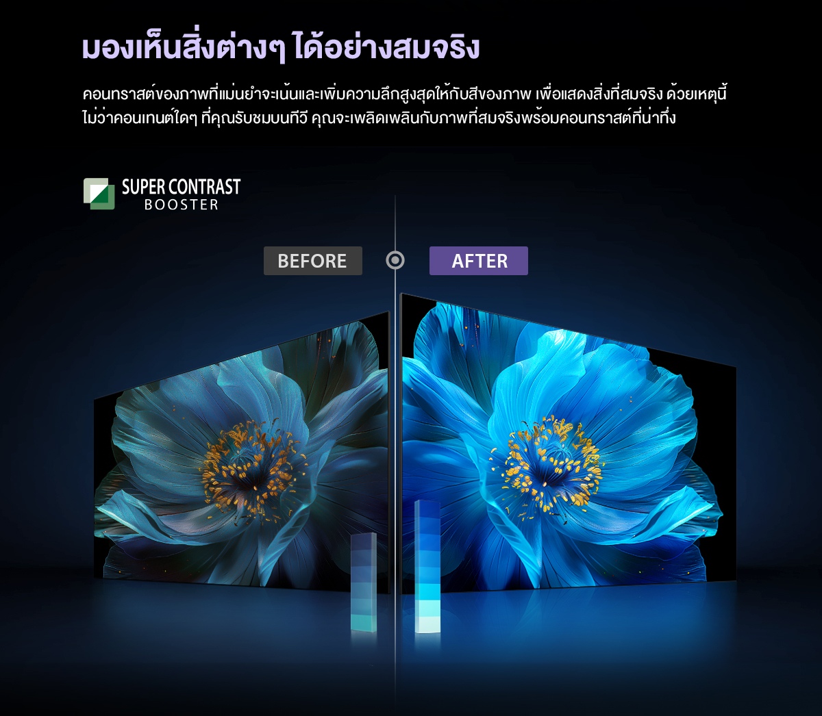 TOSHIBA 65E450NP ขนาด 65 นิ้ว TV ทีวี 4K Ultra HD Quantum Dot VIDAA HDR10+ Dolby Atmos Smart TV 2024