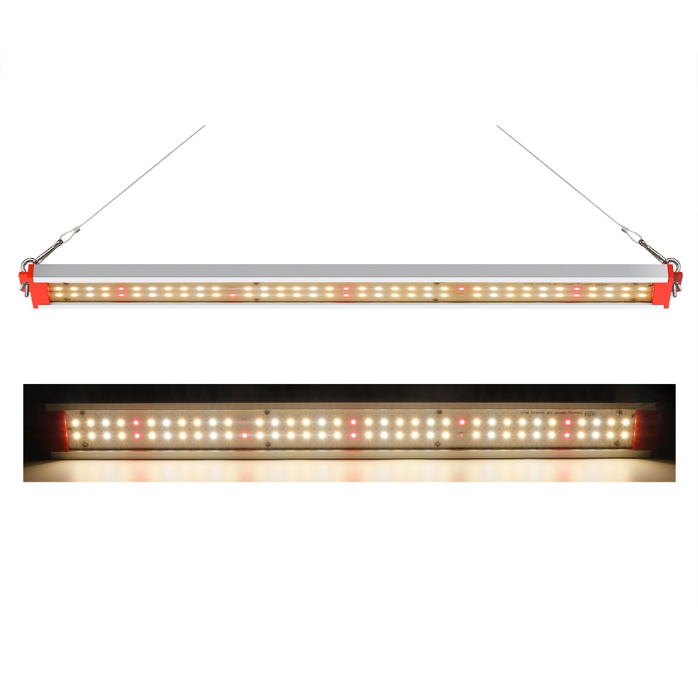 AC 220v 50W LED grow light 730nm 660nm เต็มสเปกตรัมในร่ม Led plant Grow ...
