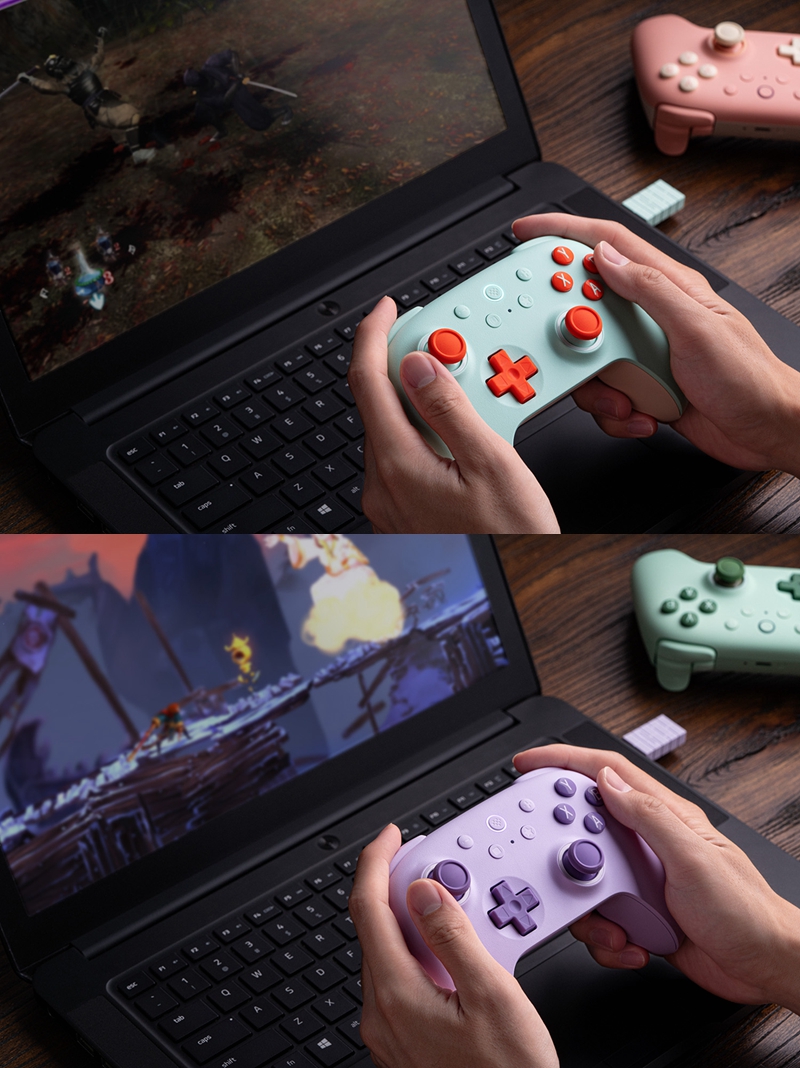8bitdo Ultimate 2C Wireless Controller ใช้งานร่วมกับ Windows 10 11 ...