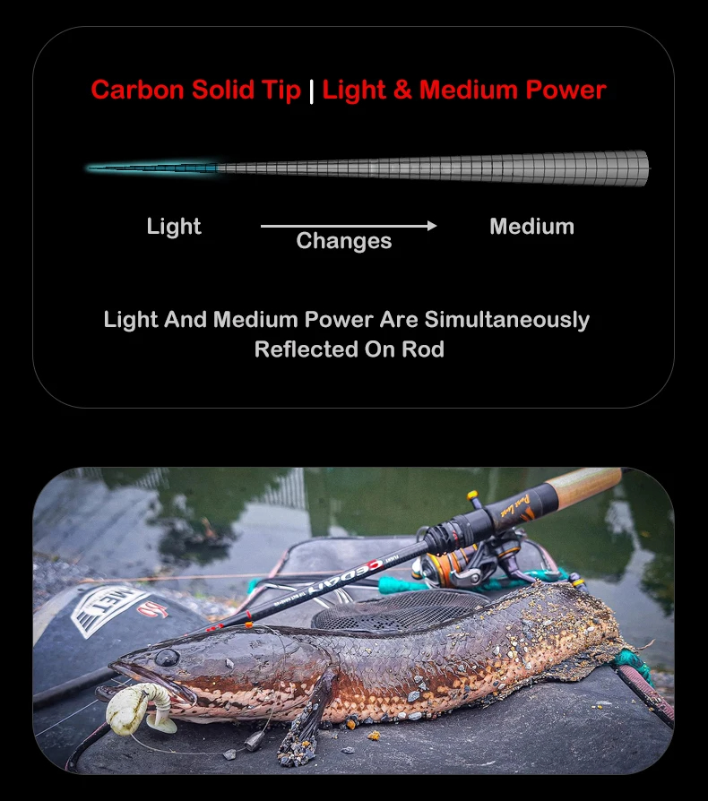 Purelure ใหม่ CEDAN Solid Tip Bass Rod 36T คาร์บอนหล่อเบ็ดตกปลาปั่น ...
