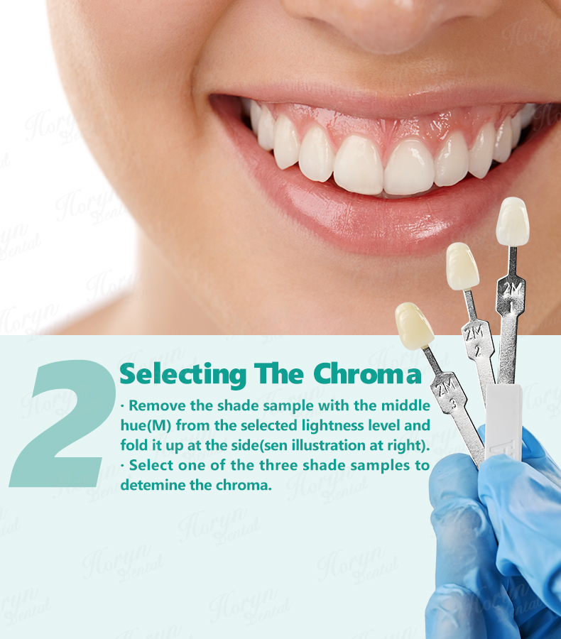 Horyn Dental Bleach Shade Guide 29 สี VITA 3D Master ฟันไวท์เทนนิ่ง ...