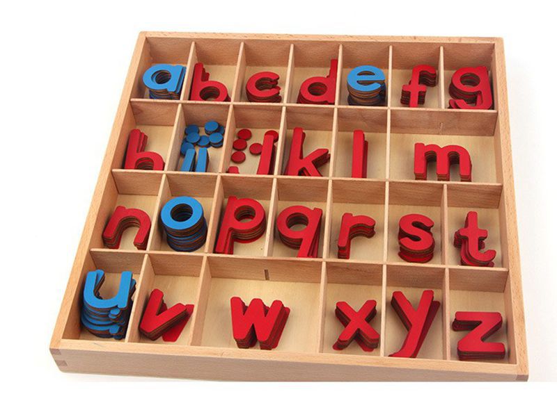 Treeyear Montessori Wooden Movable Alphabet with Box Preschool Spelling ...