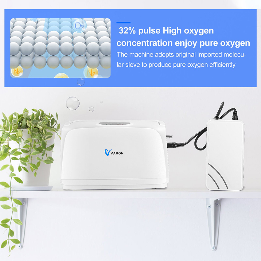 【Local Warehouse】VRON 3L/min Portable Oxygen Concentrator NT-03 ...