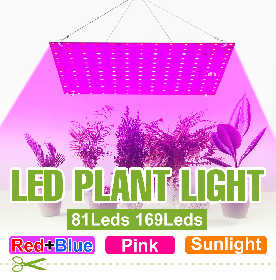 100W Full Spectrum LED Quantum Board Grow Light พร้อมตะขอ 110 V/220 V ...
