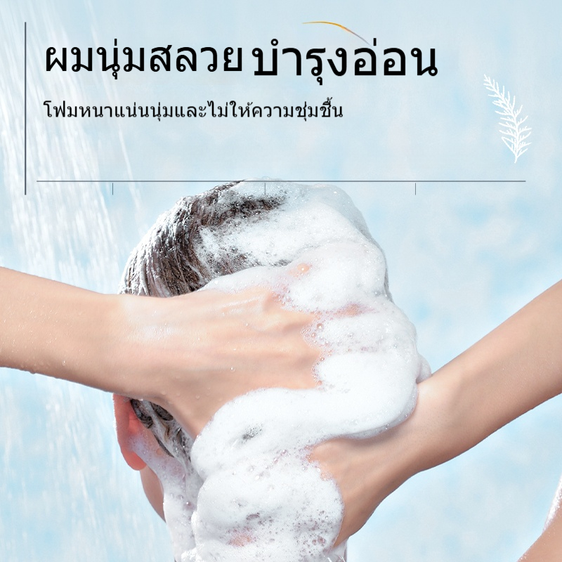 JKCK แชมพู แชมพูควบคุมความมันขจัดรังแค jkck | Shopee Thailand