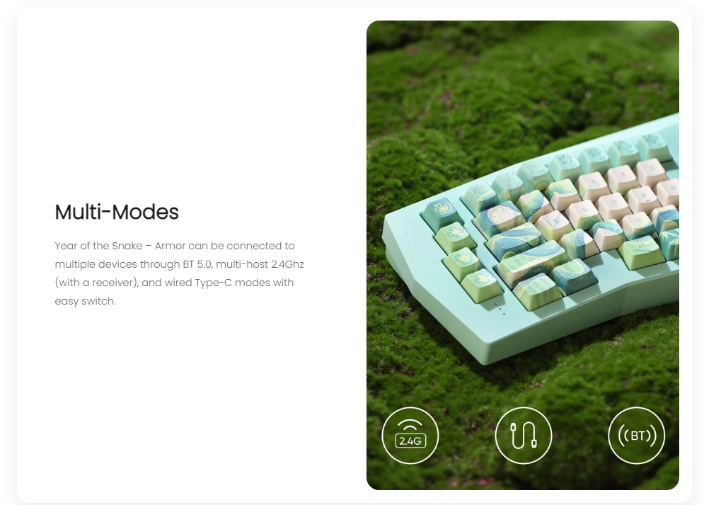 Akko Year of the Snake – Armor 68-Key Alice Mechanical Keyboard, CNC ...