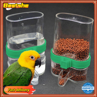 Water Cage Fountain Bird Canary Budgie Cockatiel Seed Feeder Pet Automatic Food