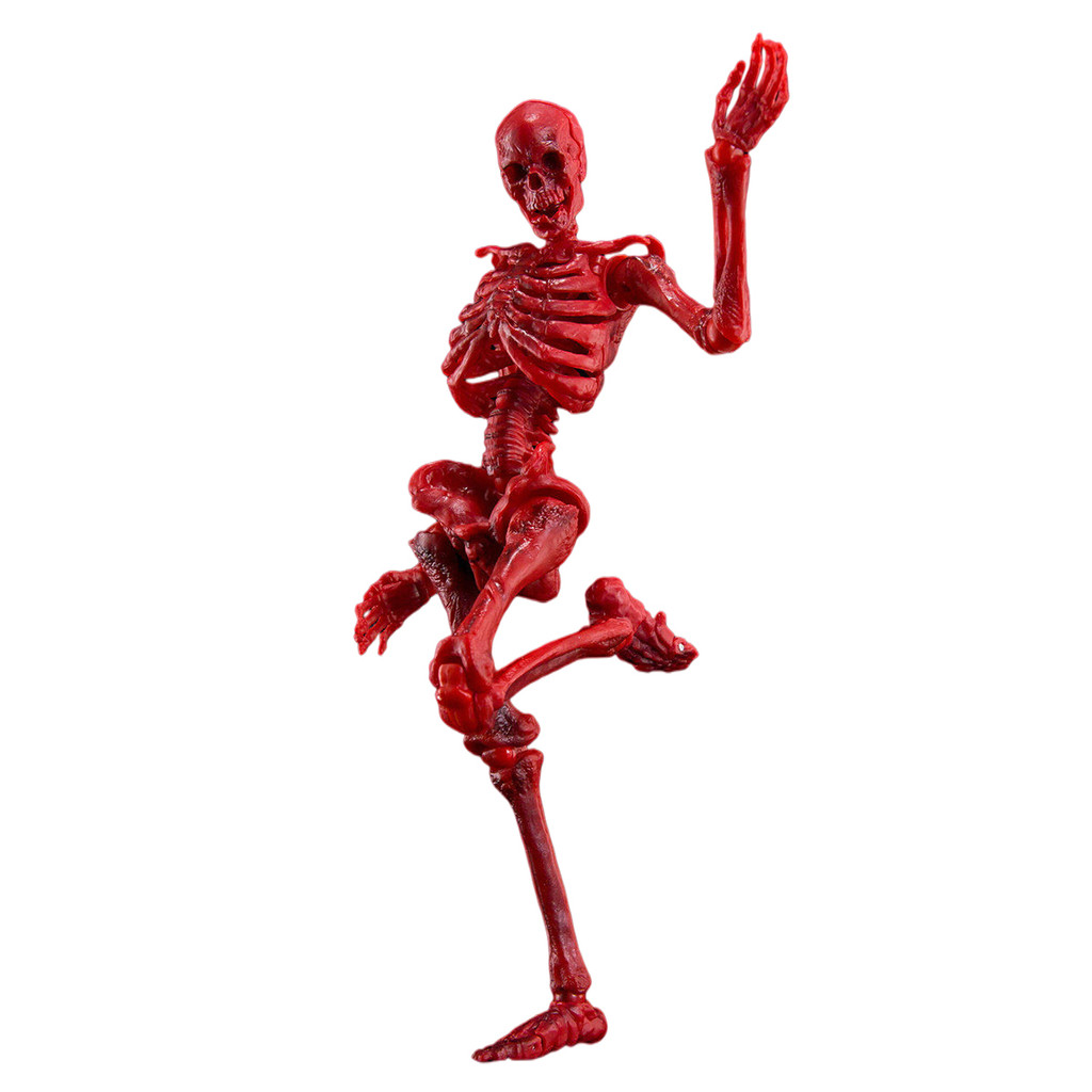 HIPLAY KEEPGOING ชีววิทยาห้องเรียนโครงกระดูกมนุษย์ Articulated รุ่น ...