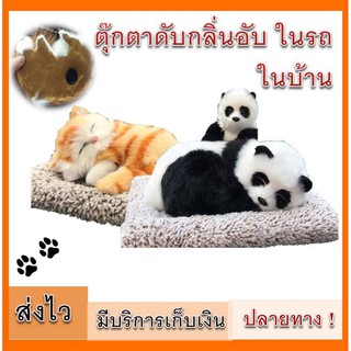 ตุ๊กตาดับกลิ่น ตุ๊กตาดูดกลิ่น ในรถ ในบ้าน