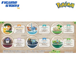 *Pre-Order*(จอง) Pokemon Terrarium Collection 12 6Pack BOX (อ่านรายละเอียดก่อนสั่งซื้อ)