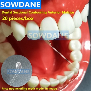 Dental Sectional Contoured Matrice Dental Transparent Proximal Anterior Matrix Dental Strips Cervical Matrices Dentist M