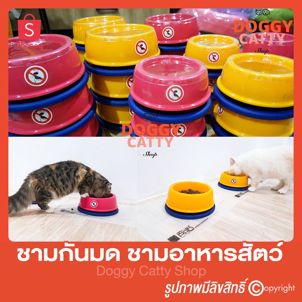 ชามกันมด-กันมด-no-ant-pet-bowl-ชามอาหารสุนัข-ชามอาหารแมว