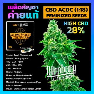 CBD ACDC (1:18) Photo เพศเมีย ค่าย Blimburnseeds เมล็ดพันธุ์กัญชา นอก เมล็ดค่าย แบ่งขาย รับประกัน ตรงปก 💯%