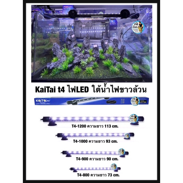 kaitai-หลอดไฟใต้น้ำ-ไฟขาวล้วน-t4-800-t4-900-t4-1000-t4-1200