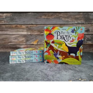 (New) Usborne Pop up Birds