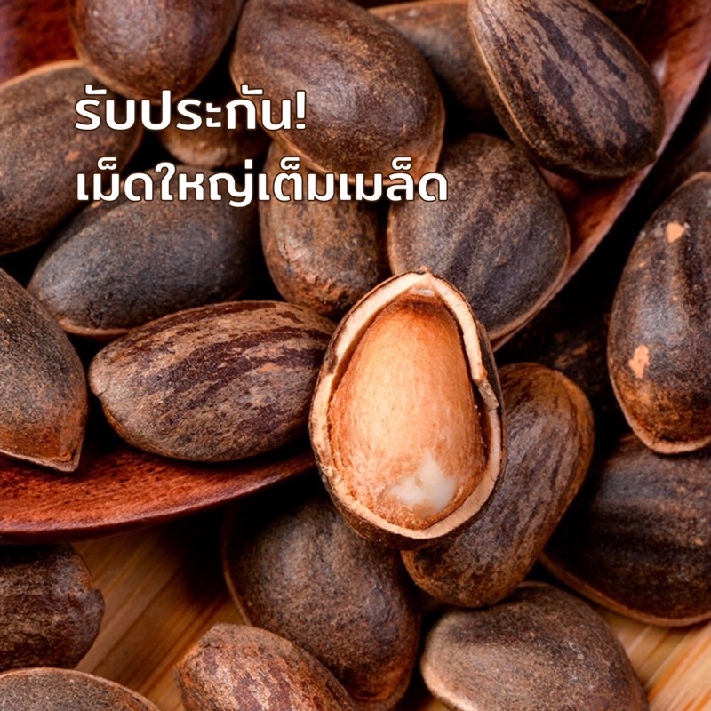 เม็ดสน-250-กรัม-pine-nut-ไพน์นัท-รับประกันเม็ดใหญ่-เต็มเม็ด