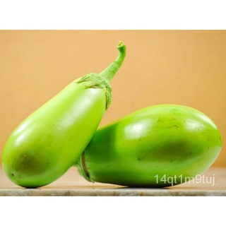Eggplant Inaraw 10กรัม180-220เมล็ดพันธุ์ไทยแคระเมล็ดเมล็ดปุยอุปกรณ์จากพืชดอกไม้/เสื้อ/กระโปรง/ผักชี/ดอกทานตะวัน/คื่นฉ่าย