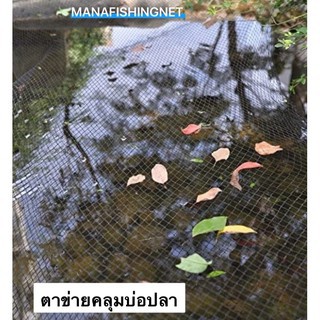 ตาข่ายคลุมบ่อปลา อ่างเลี้ยงปลา 🐠ในสวน ป้องกันนก ป้องกันใบไม้ล่วง 🎏ขนาด2x4เมตร / 3x3เมตร /ขนาดใหญ่ 6x7เมตร Fish Pond Net