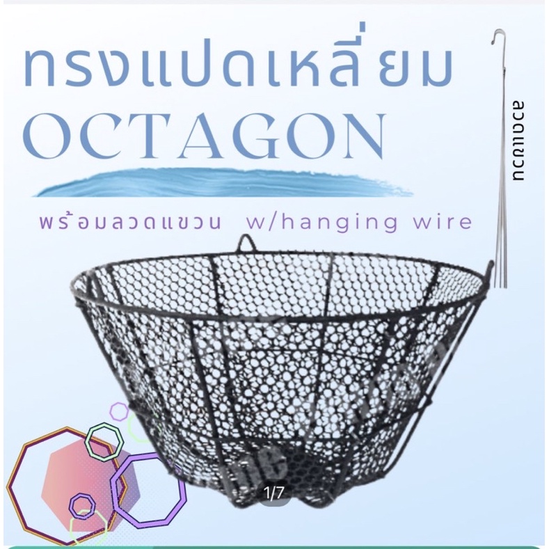 กระถางเฟิร์น ทรงแปดเหลี่ยม โครงเหล็ก 8,12,16 นิ้ว **พร้อมลวดแขวน ...
