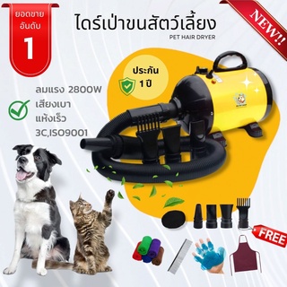 💎ส่งไว ส่งฟรี💎 2800w ไดร์เป่าขนสัตว์เลี้ยง ประกัน1ปี ไดร์เป่าขนสุนัข ไดร์เป่าขน เครื่องเป่าขน​สุนัข เป่าขนสุนัข​