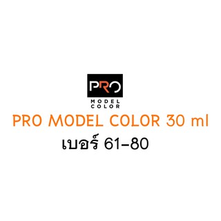 สินค้า สี อะคริลิค เชื้อ ทินเนอร์ PRO MODEL COLOR ขนาด 30ml เบอร์ 61-80