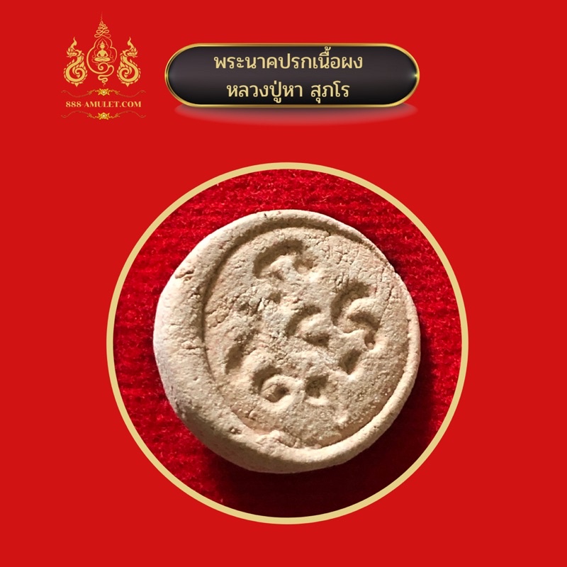 พระนาคปรก-หลวงปู่หา-สุภโร-ปี-2560