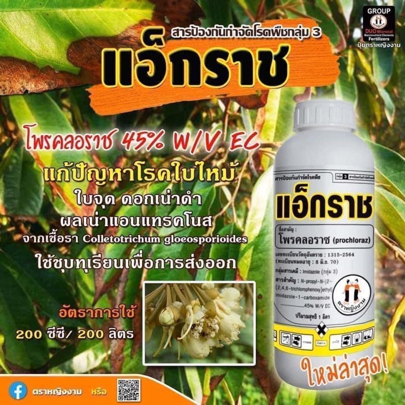 แอ็กราช-กำจัดโรคใบไหม้-ใบติด-ขนาด1-ลิตร