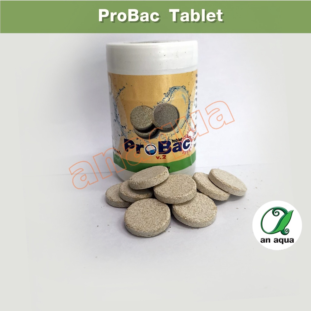 probac-แบคทีเรียอัดเม็ด-ลดของเสียในตู้ปลา