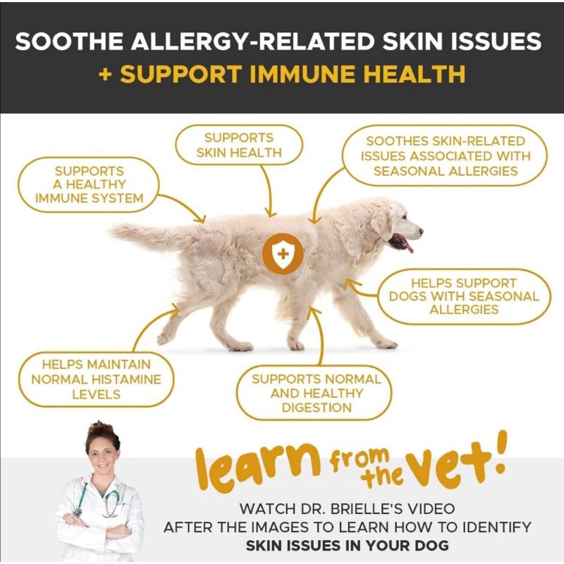 พร้อมส่ง-pethonesty-allergy-skinhealth-สำหรับสุนัขที่เป็นภูมิแพ้-มีปัญหาที่ผิวหนัง-คัน-ช่วยบำรุงสุขภาพขนให้กลับมาเงางาม
