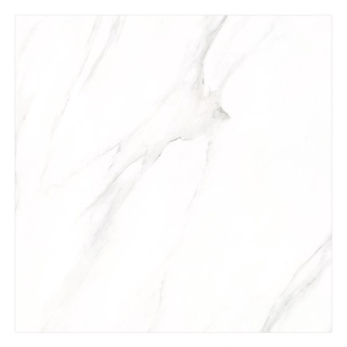 XRC CENTURY กระเบื้อง ALBERTO CARRARA M.(X6PT01M)60X60*A